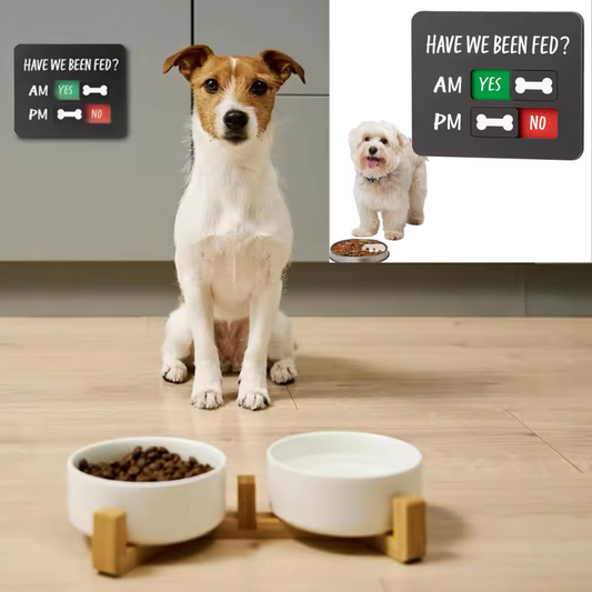 Daily Feeding Reminder Magnet